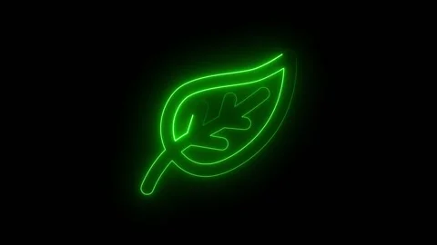 Glowing green leaf icon on a black background Stock Footage 345550164