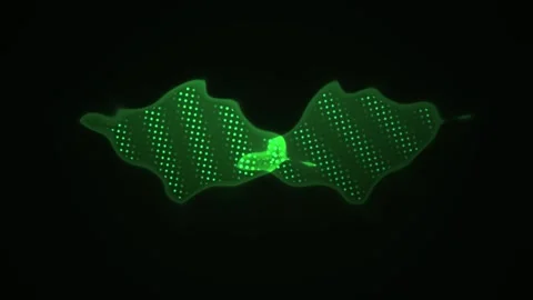 Glowing green leaf with mesh pattern on black background. Stock Footage 336233045