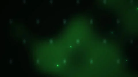 Glowing green light dots on black. Stock Footage 340020615