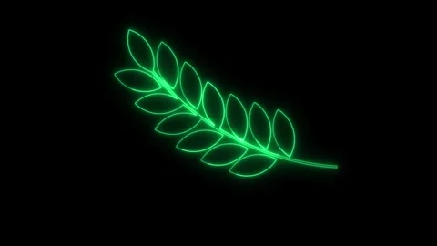 Glowing Green Neon Leaf Branch Animated Loop on Black Background Stock Footage 343152507