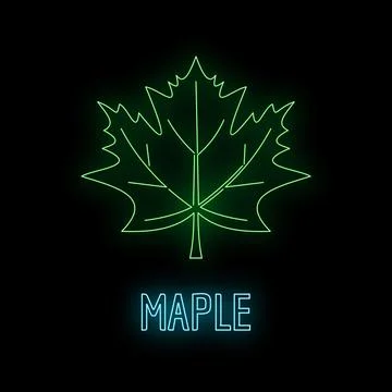Glowing green neon maple leaf sign on black Stock Illustration