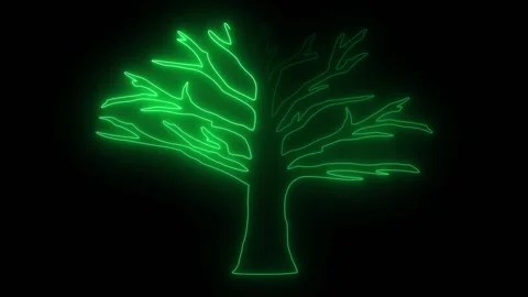 Glowing green neon tree shape on black background Stock Footage 345111287