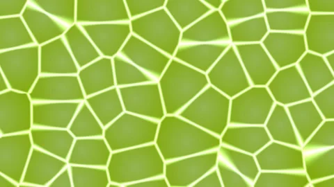 Glowing green network pattern, abstract geometrical shapes 스톡 동영상 331643263
