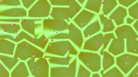 Glowing Green Network Pattern Background. Stock Footage 329928305