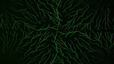Glowing green neural branch pattern radiating symmetrically from dark center Stock Footage 309289601