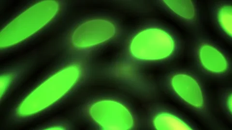 Glowing Green Oval Shapes Pattern. Stock Footage 340023233