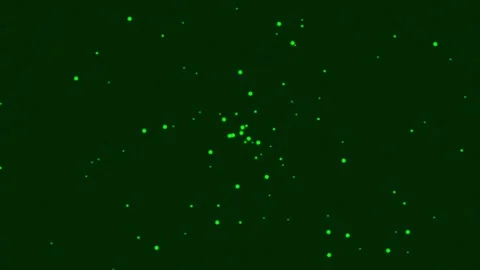 Glowing green particle overlay animation on dark background for magic effects Stock Footage 341058404