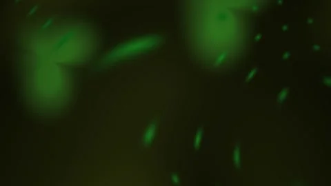 Glowing green particles floating in dark space. Stock Footage 337510555