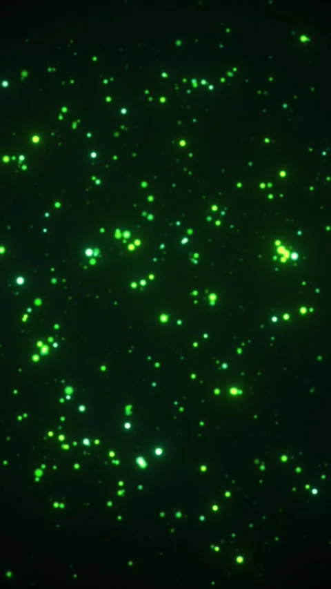 Glowing green particles Video stock 313165395