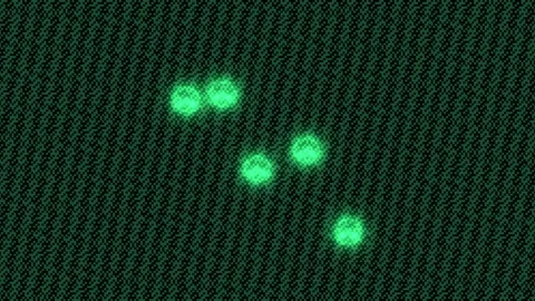 Glowing Green Pixel Lights Seamless Loop Stock Footage 340766839