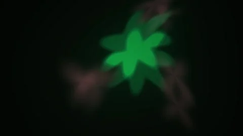 Glowing green plant in darkness. Stock Footage 334526169