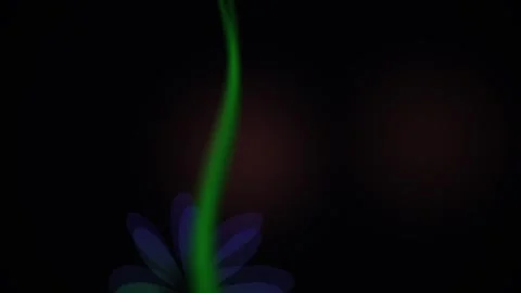 Glowing green plant stem in dark. Stock Footage 336697713