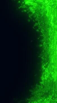Glowing green plasma edge with dark copy space, smoky cosmic texture, and m.. Stockillustratie