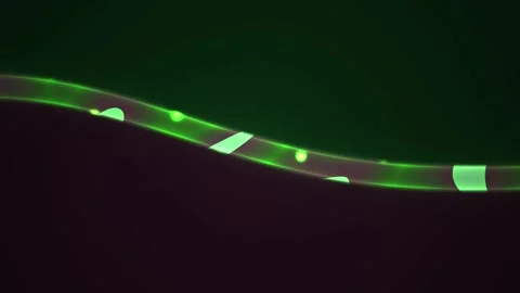 Glowing green strip with reflective surface. Stock Footage 337510855