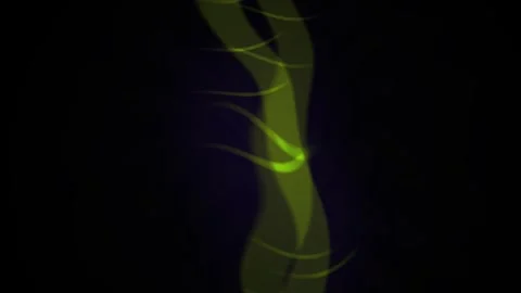 Glowing green worm closeup view. Stock Footage 340023719