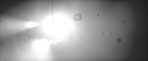 Glowing Halloween jack-o-lantern face in grey fog with falling autumn leaves Stock Footage 345551299