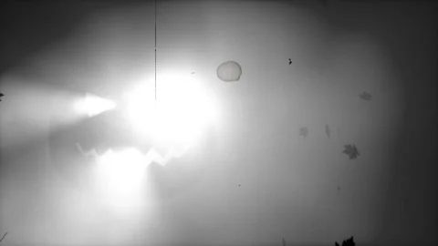 Glowing Halloween jack-o-lantern face in grey fog with falling autumn leaves Stock Footage 345551453