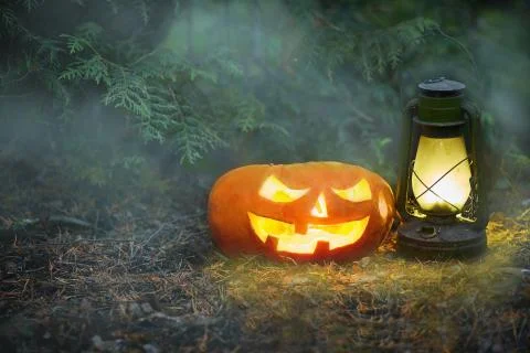 A glowing Jack O Lantern in a dark mist Forest on Halloween. Stock Photos
