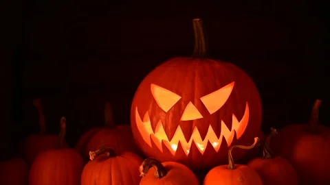 Glowing jack-o-lantern lit from inside surrounded by small orange pumpkins Video stock 313081090