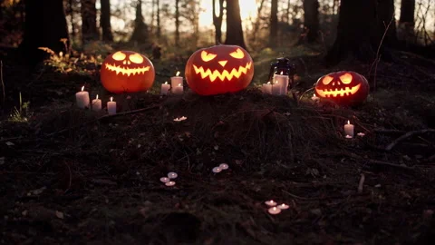 Glowing jack-o-lantern pumpkins and candles in night forest Video stock 162494750