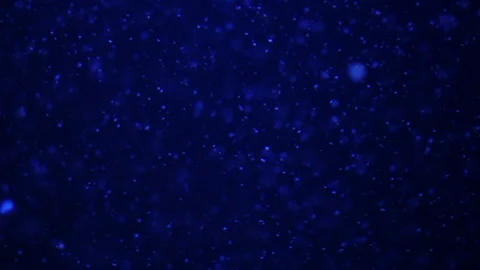 Glowing jellyfish drifting in a deep blue aquarium environment. Stock Footage 328995727