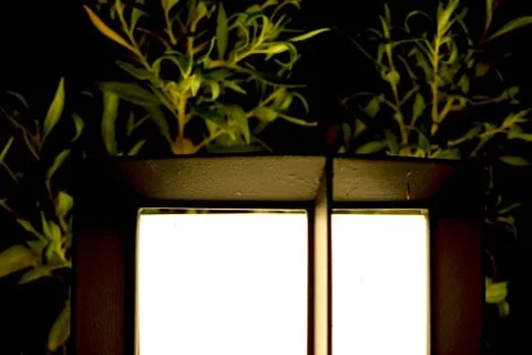 Glowing lamp with reflection of light on green leaf's Stock Photos