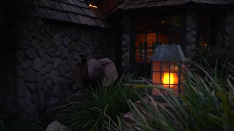 Glowing lantern and elephant statue by a stone house at dusk Stock Footage 345530022
