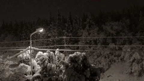 Glowing lantern in snowy park in the evening Stock Footage 165334443