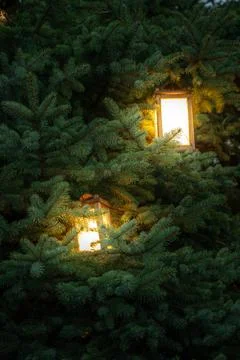 Glowing lanterns on Christmas tree Stock Photos