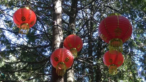 Glowing Lanterns in tree tops.Close up. In shadows 스톡 동영상 95947369