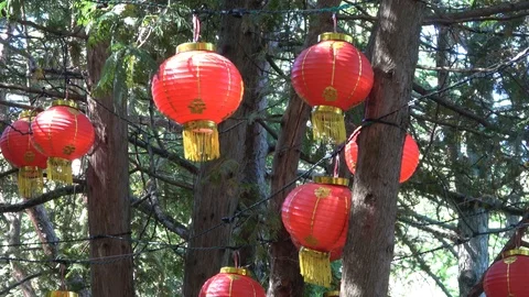 Glowing Lanterns in tree tops.Close up. In sun light Video stock 95947305