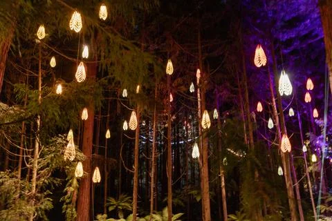 Glowing Leaf Lanterns Hanging Enchanted Forest Stock-Fotos