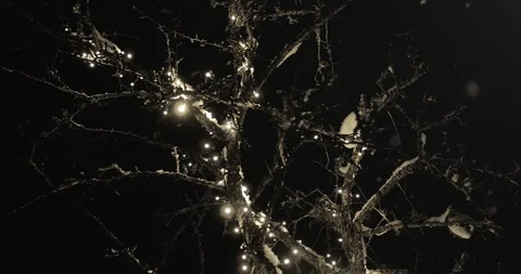 Glowing LED Lights in Tree During Snowfall Stock Footage 86221196
