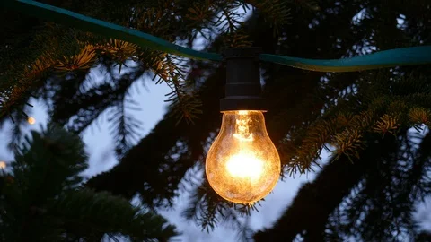 Glowing light bulb on a Christmas tree at dusk, Germany, Europe Stock Footage 121523974