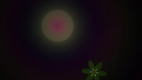 Glowing Light Effects with Floral Elements. Stock Footage 337511086