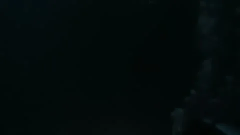 Glowing in light of lanterns school of fish in underwater sea, night diving. 動画素材 260841025