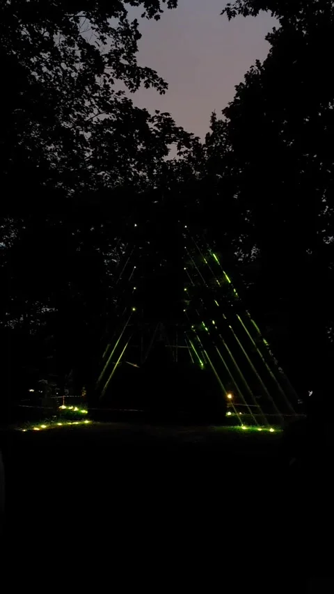 Glowing Light Strings Stretched Between Trees at Night Park Event 動画素材 346524191