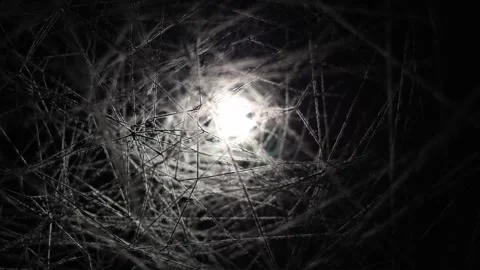 A glowing light struggles to break through a dense web of tangled threads, creat Stock Footage 304357540