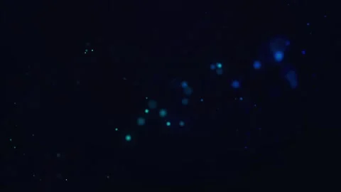 Glowing lights with blue bubbles waving blue background Stock Footage 259859233