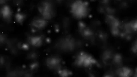 Glowing lights shimmering in dark seamless cinematic loop Stockbeeldmateriaal 335602799