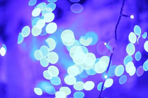 Glowing lights in winter forest Stock Photos