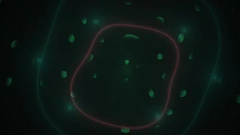 Glowing Line Morphs on Dark Background with Green Particles for Abstract Mo.. Stock Footage 343704424