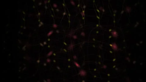 Glowing Lines and Particles Create a Dynamic Abstract Neural Network on a D.. Stock Footage 343704661