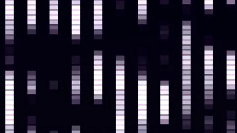 Glowing lines motion graphics with night background Stock Footage 136210354