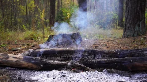 Glowing logs in a cozy forest campfire, smoke rising into the air Stock Footage 289548248