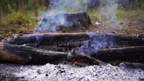 Glowing logs in a cozy forest campfire, smoke rising into the air Stock Footage 289548251