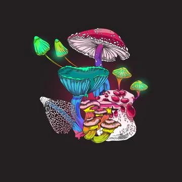 Glowing magic toadstools and mushrooms plants vector illustration isolated. Illustrazione stock