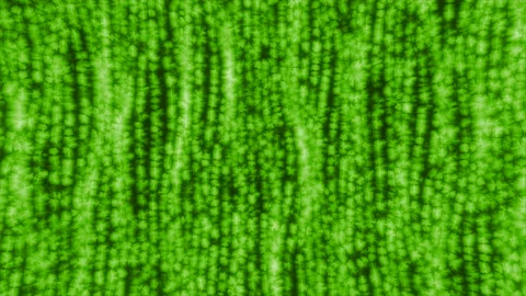 Glowing matrix lines. Motion. Bright moving lines in matrix space. Live vertical Stock Footage 232510554