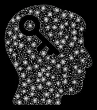 Glowing Mesh 2D Head Key with Flare Spots Illustrazione stock