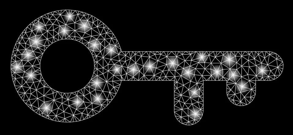 Glowing Mesh Network Key with Light Spots Stock-Illustration